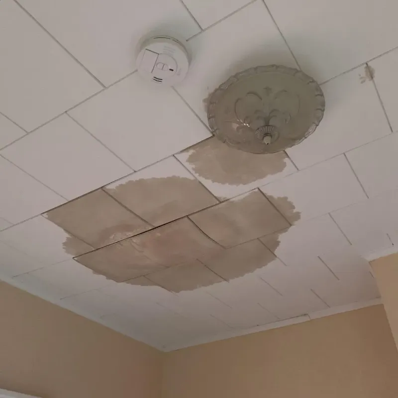 Ceiling Water Damage Repair in Plankinton, SD