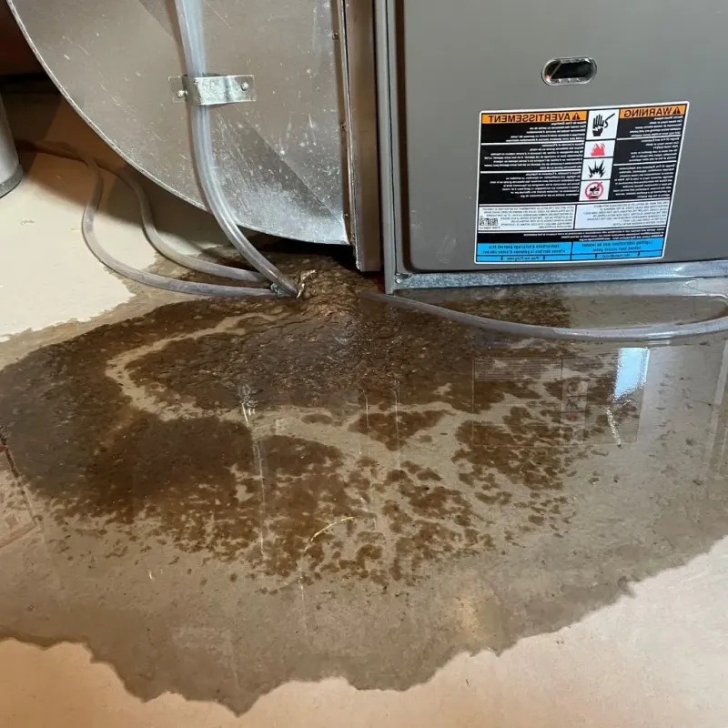 Pipe Burst and Leak Restoration in Plankinton, SD